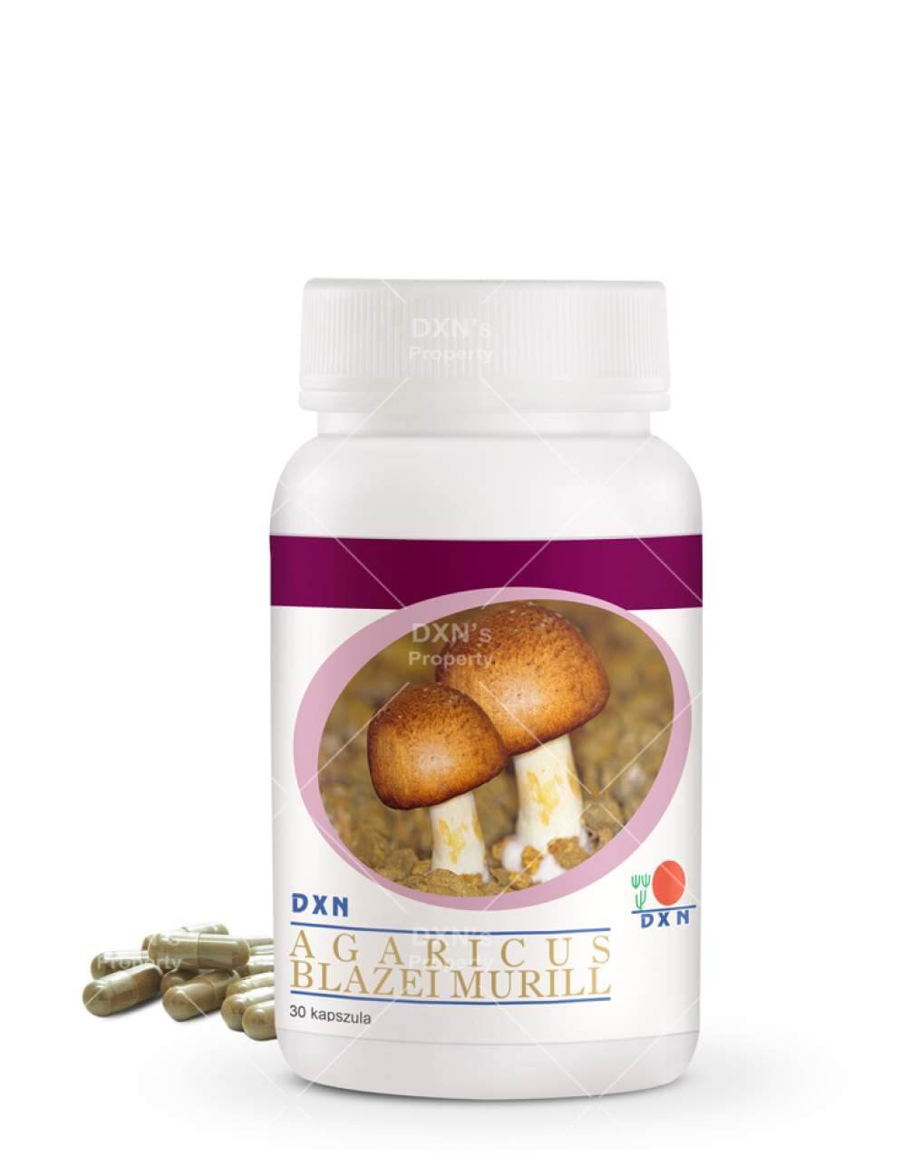 DXN Agaricus Blazei Murill – 30 cápsulas